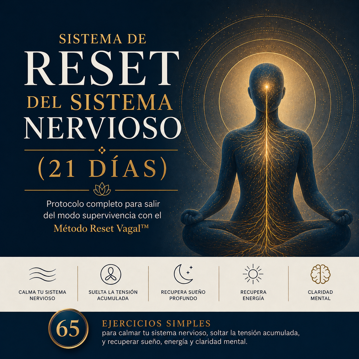 Sistema de Reset del Sistema Nervioso en 21 días
